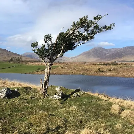 Bed & Breakfast Railway View - Connemara *